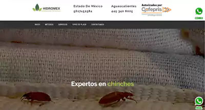 Diseño de paginas Web